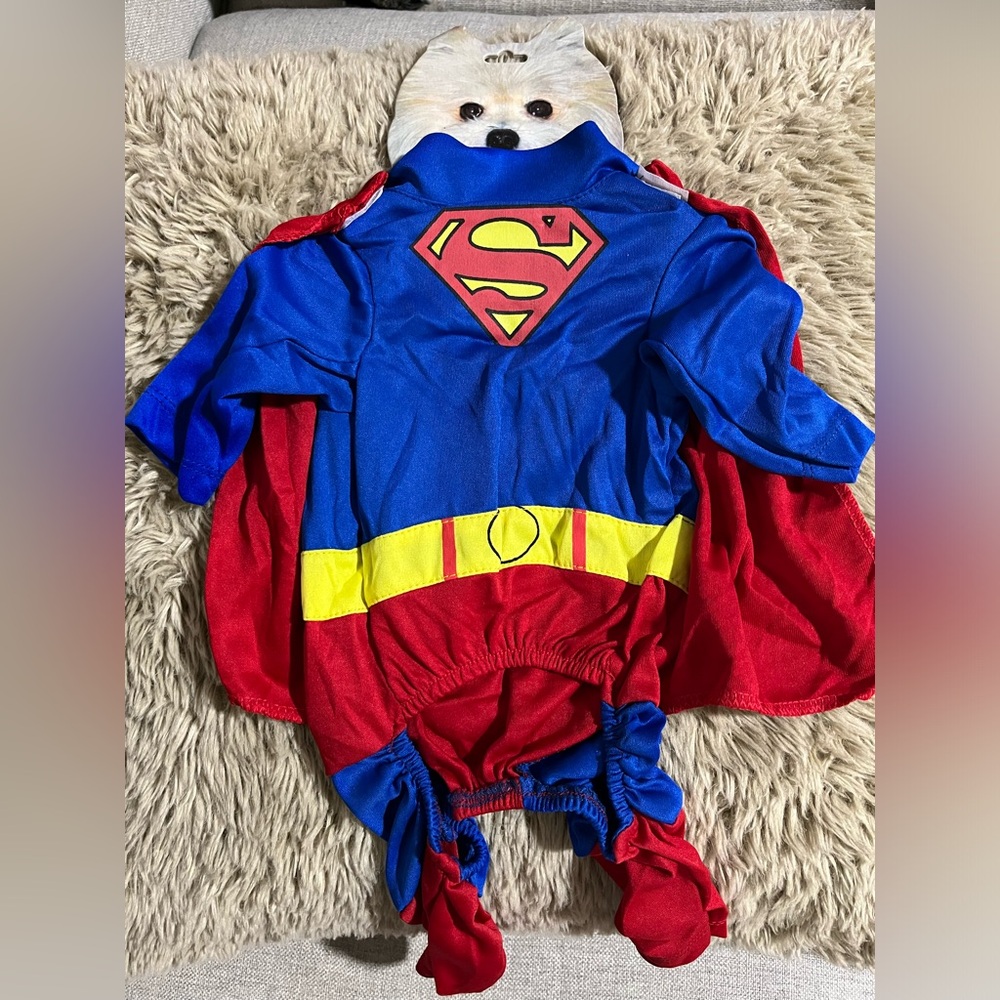 Pet Super Hero Costume